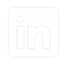 icon linkedin